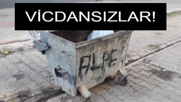 Çöpe atılan bebek köpekler parçalamadan kurtarıldı