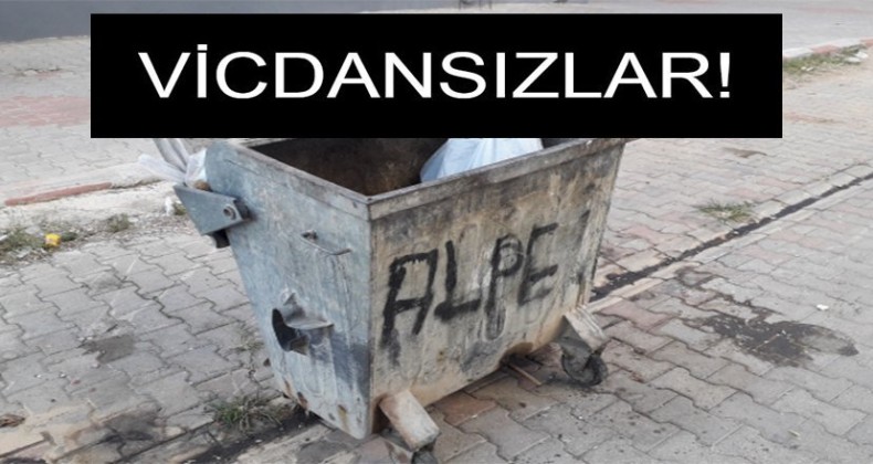 Çöpe atılan bebek köpekler parçalamadan kurtarıldı