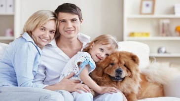 Apartmanda evcil hayvan beslenir mi?