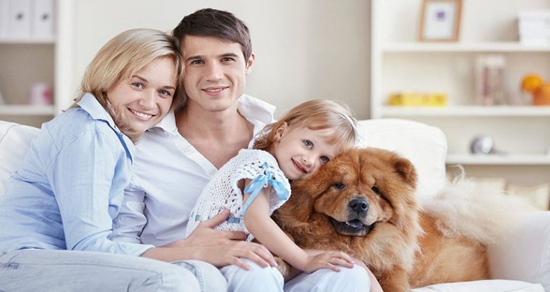 Apartmanda evcil hayvan beslenir mi?