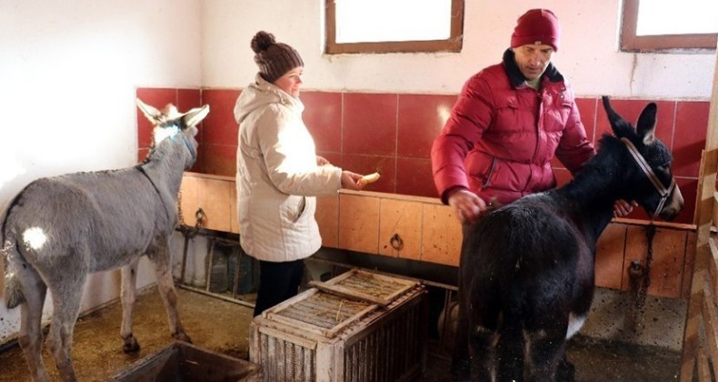 Kendisini ‘diplomalı eşek bakıcısı’ olarak nitelendiren vatandaştan insanlık dersi