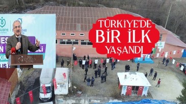 Belediye Hayvanlar için otel açtı!