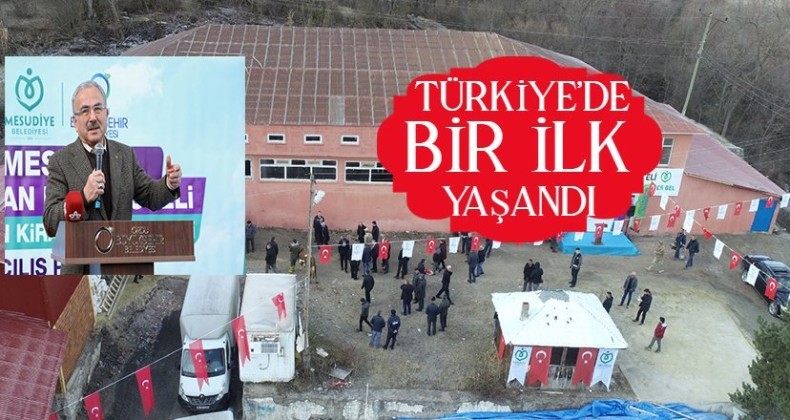 Belediye Hayvanlar için otel açtı!