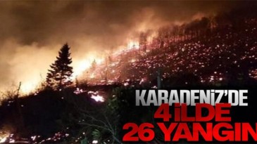 Karadeniz’de 4 ilde 26 noktada yangın