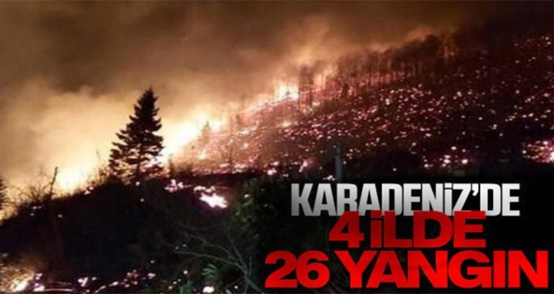 Karadeniz’de 4 ilde 26 noktada yangın