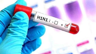 Domuz gribi kabusu geri döndü ! Uzmanlar uyardı: Antibiyotik kullanmayın