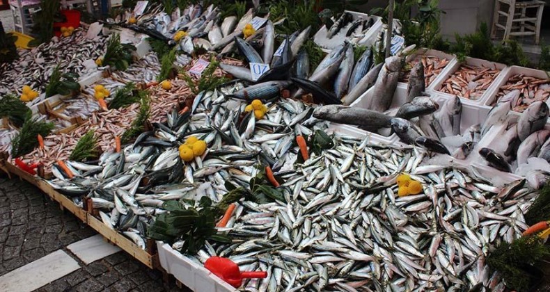 Karadeniz’de balıklar azaldı…Samsun’da fiyatlar el yakıyor!