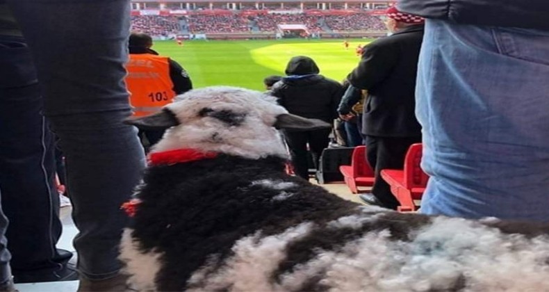 İşte Yılport Samsunspor Tribünlerinin En Özel Misafiri!