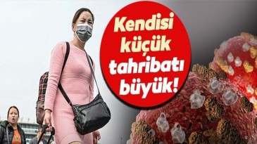İşte 10 soruda Corona virüsüne dair merak edilenler