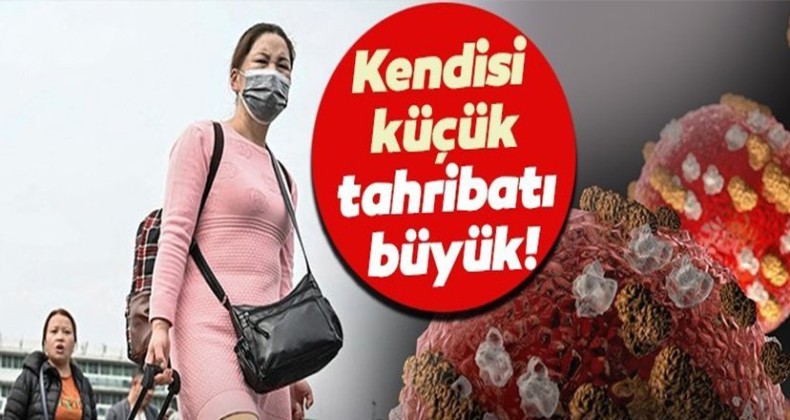 İşte 10 soruda Corona virüsüne dair merak edilenler