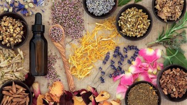 Bitkisel tedaviyi doktorlar uygulamalı