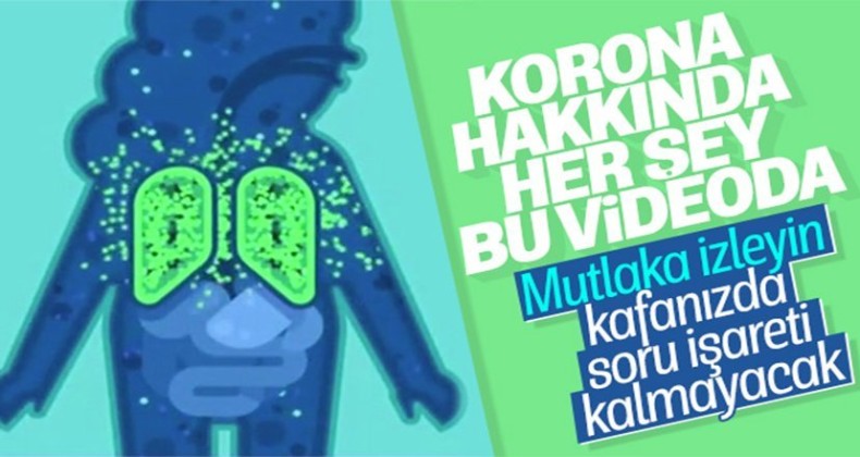 Koronavirüsün yayılma süreci ve son durum