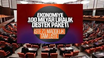 21 maddelik dev ekonomik paket