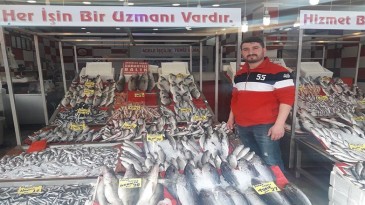 Balık fiyatları el yakıyor!