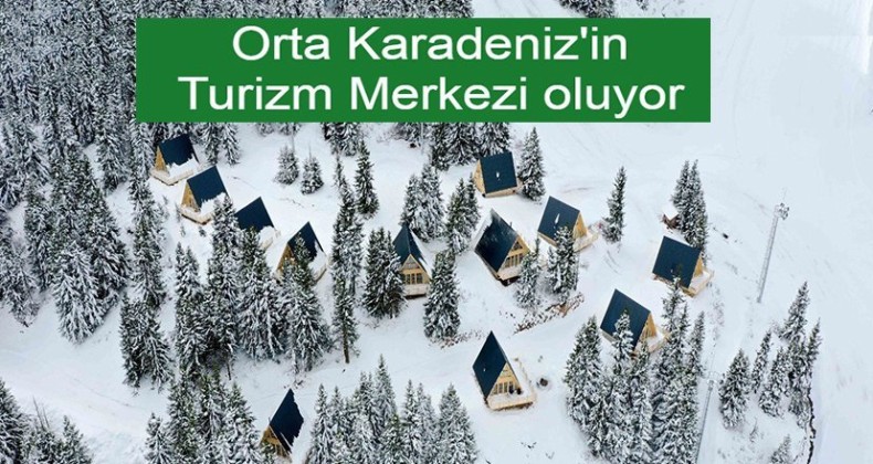 Ordu’da bungalov evlere büyük ilgi