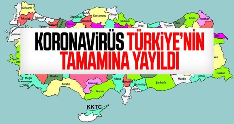 Bakan Koca: Koronavirüs 81 ilin tamamına yayıldı