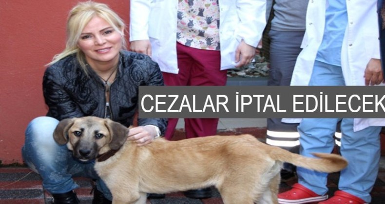 Hayvan severler sokağa çıkabilecek mi?