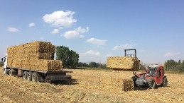 ÜRETEN TÜRKİYE YERLİ ENERJİ KAYNAKLARINI KULLANACAK