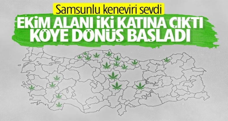 KENEVİR EKİMİ İKİYE KATLANDI