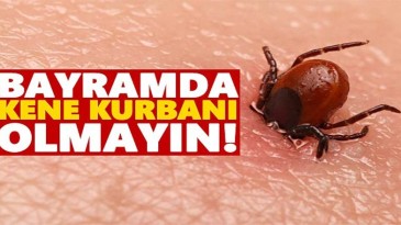Prof. Dr Çetin: Vaka sayısı dörde katlanabilir