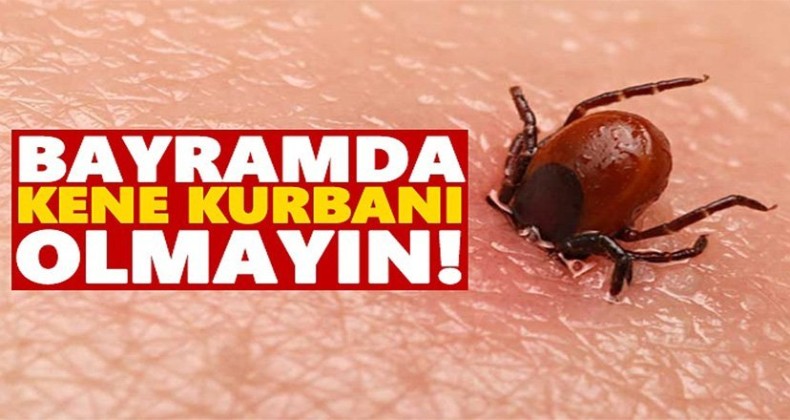Prof. Dr Çetin: Vaka sayısı dörde katlanabilir