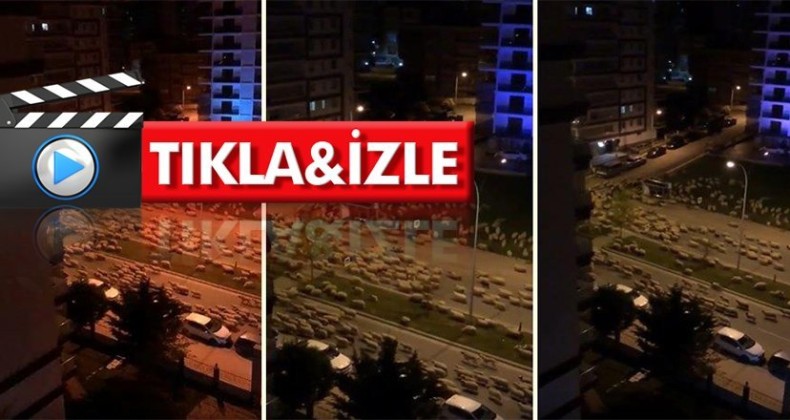 Samsun’da ‘Kuzuların sessizliği’ yollarda
