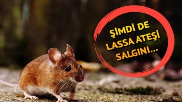 Lassa Ateşine dikkat!