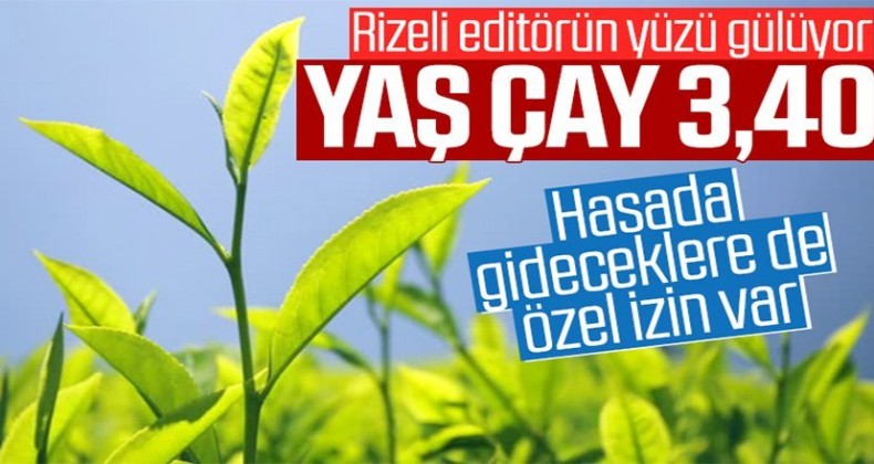 Yaş çay alımı destekle 3 lira 40 kuruş oldu