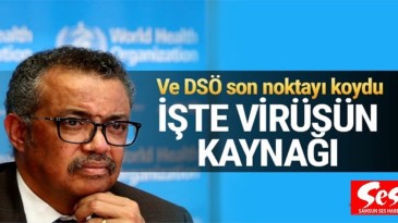 Koronavirüs nasıl çıktı ? DSÖ tartışmalara noktayı koydu