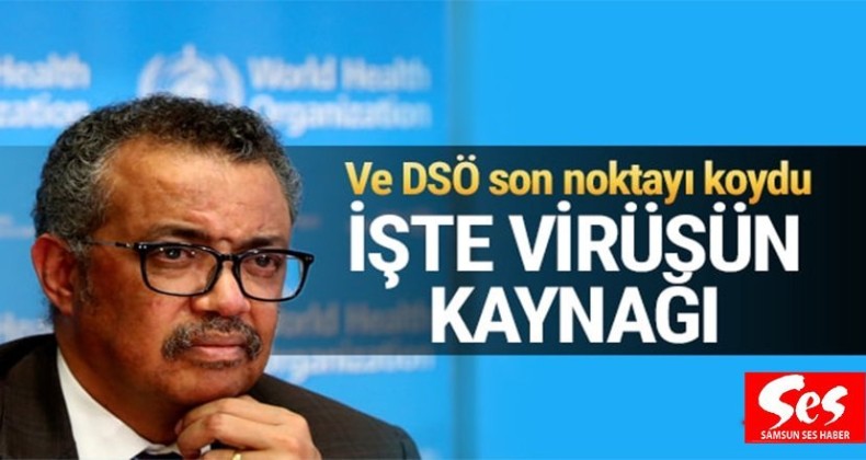 Koronavirüs nasıl çıktı ? DSÖ tartışmalara noktayı koydu