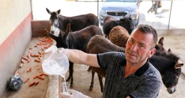 Eşek sütünün litresi 100 lira
