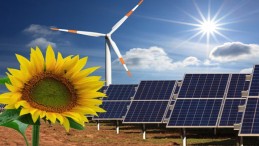 IRENA’DAN YENİ RAPOR