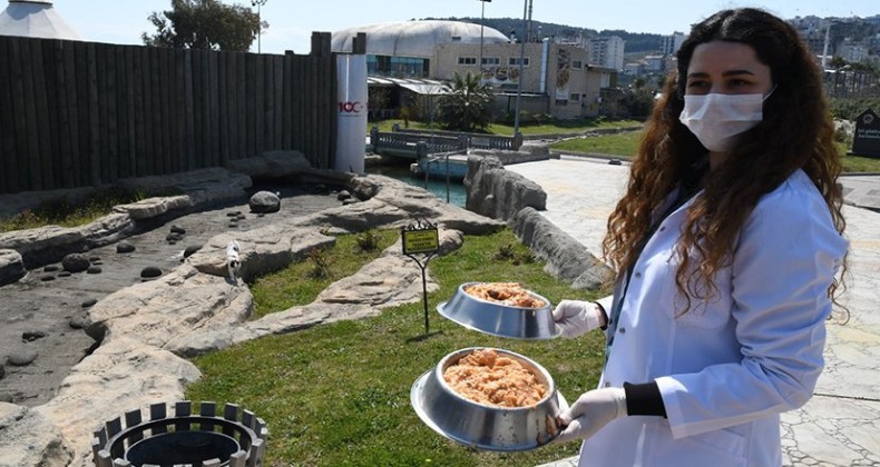 Sokak hayvanlarına 47 ton mama dağıtıldı