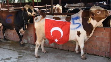 Her Kurban Lösemili çocuklara can!