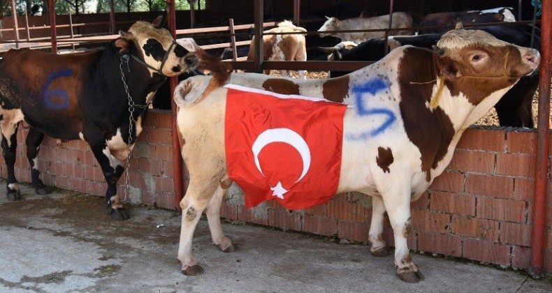 Her Kurban Lösemili çocuklara can!