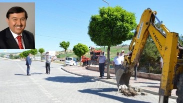 Eski Başkandan Asfalt Yol Sitemi!