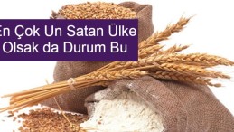 Türkiye buğday ithalatında dünya birincisi oldu!