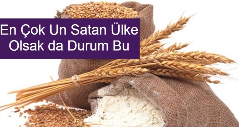 Türkiye buğday ithalatında dünya birincisi oldu!