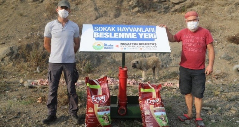 SOKAK HAYVANLARININ YAŞAM UMUDU OLDULAR