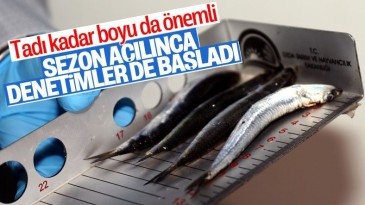 Balık sezonu başladı, denetimler arttı