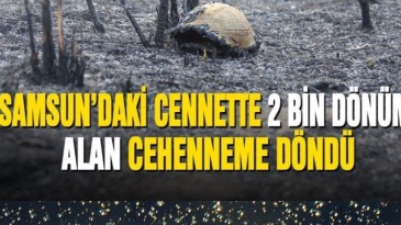 Erhan Usta: Kuş cenneti imara açılmasın!