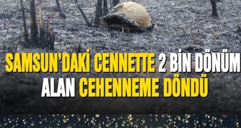 Erhan Usta: Kuş cenneti imara açılmasın!