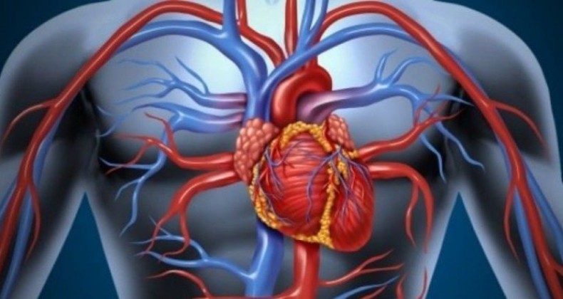 Türkiye’de her sene kalp krizinden yaklaşık 200 bin kişi ölüyor