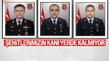 Samsunlu Şehit Yüzbaşının intikamı alındı