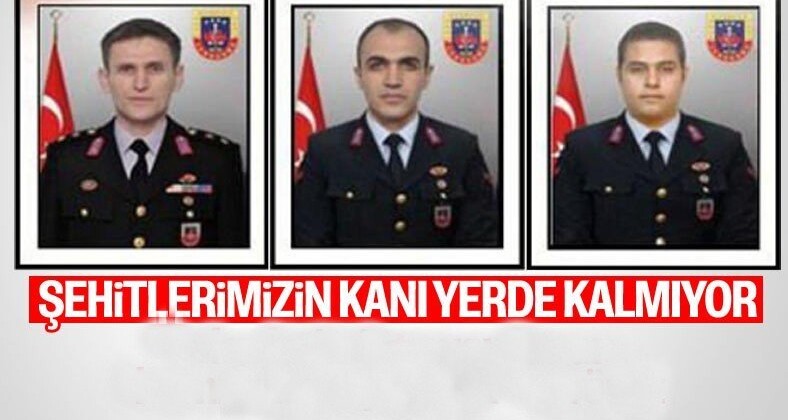 Samsunlu Şehit Yüzbaşının intikamı alındı