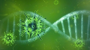 Türkiye’nin koronavirüsle mücadelesinde son 24 saatte yaşananlar