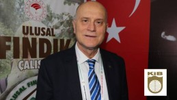 AB, Fındık ithalatına uyguladığı Aflotoksin kontrollerini kaldırdı
