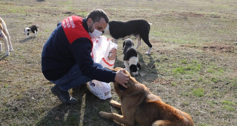 KISITLAMA SÜRESİNCE ‘SESSİZ DOSTLAR’ UNUTULMADI