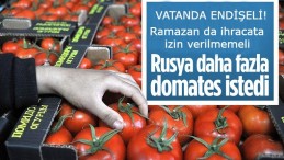 Rusya, Türkiye’den aldığı domatesin kotasını artırdı