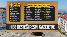 Esnafa verilecek hibe desteği Resmi Gazete’de